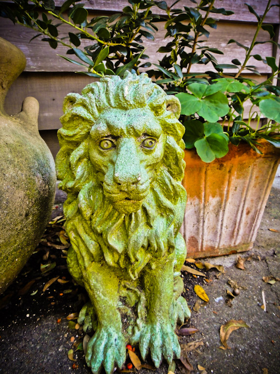 Photo of oldest schoolhouse lion in St Augustine Florida