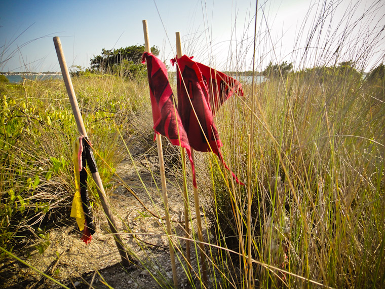 Photo of Madie Alex and Mike's Flags