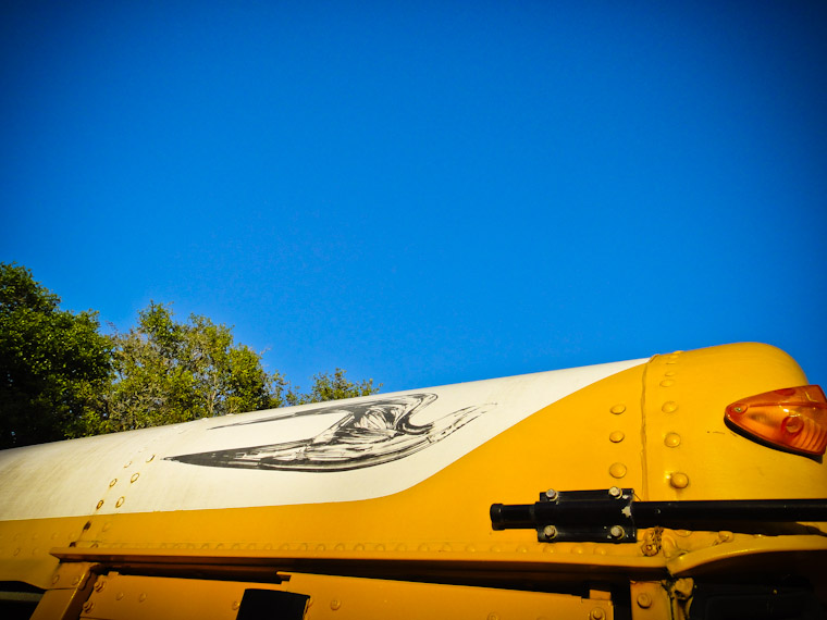 Photo of school bus bird in St Augustine Florida