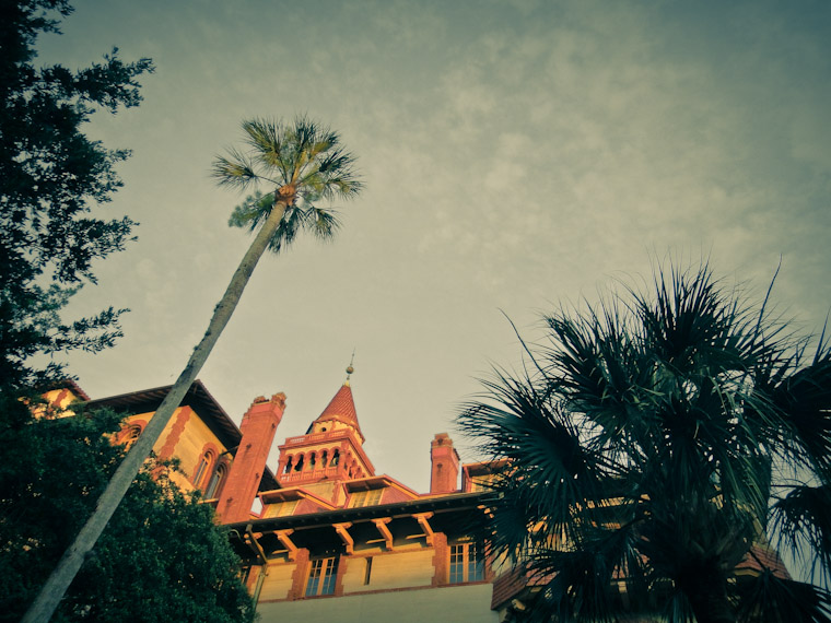 Picture of Flagler College and Palm Tree in St Augustine Florida