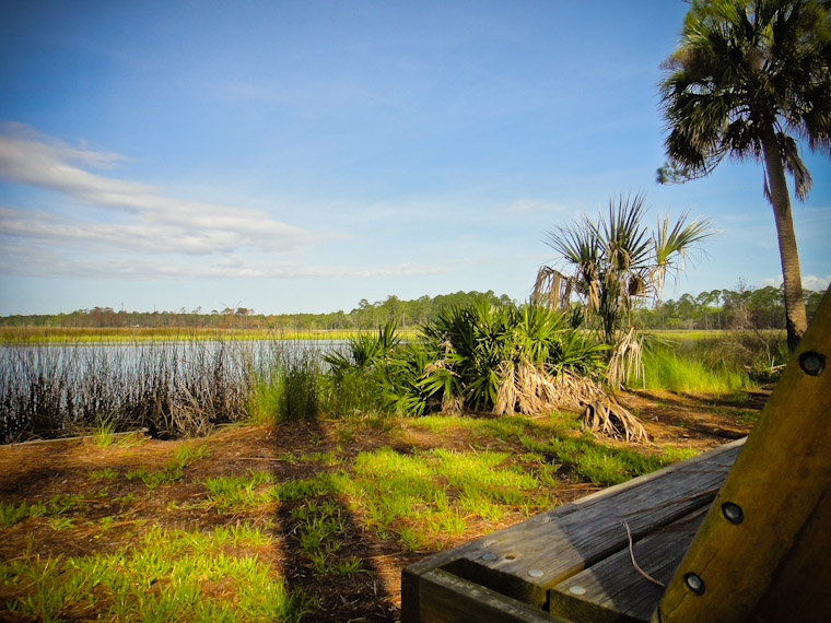 Bench view in St Johns County Florida