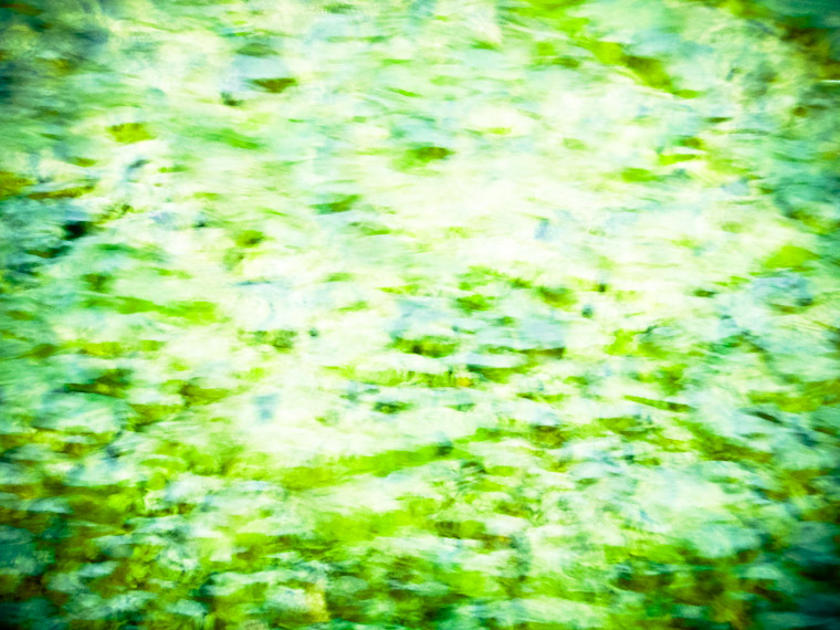 Picture of water flowing over dam algae in St Augustine Florida