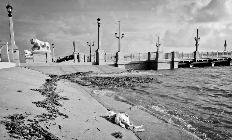 Photo of debris washed up at Bridge of Lions in St Augustine Florida