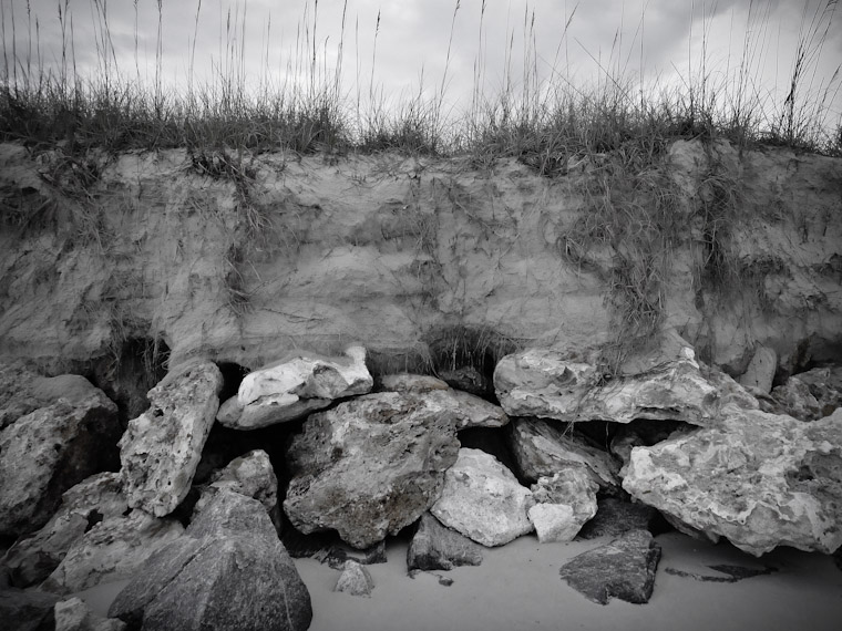 Eroding Dune Texture in Saint Augustine Florida