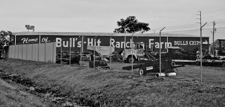 Bull's Hit Ranch Bull Chips in Florida