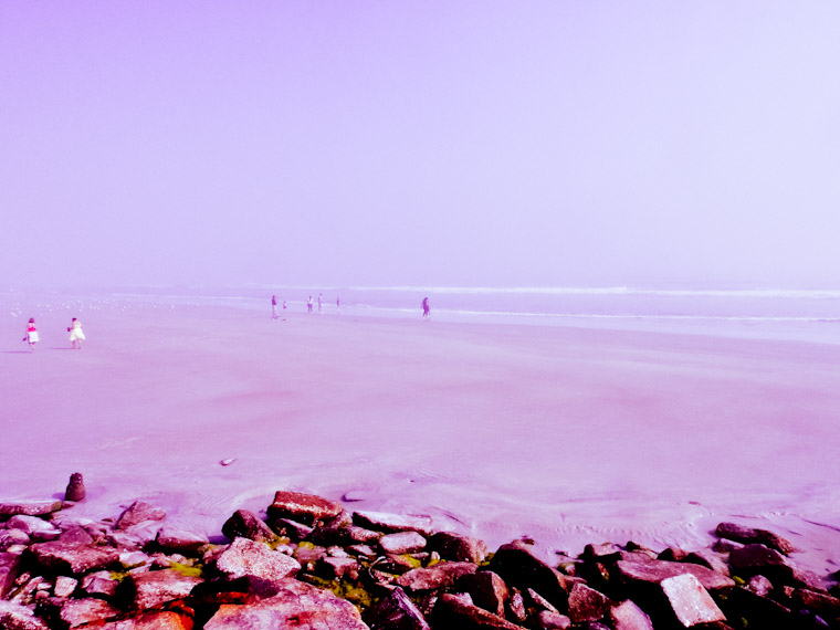 Photo of purple haze in Saint Augustine Florida