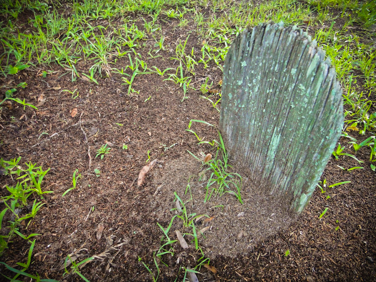 Photo of wooden tombstone in St Augustine Florida