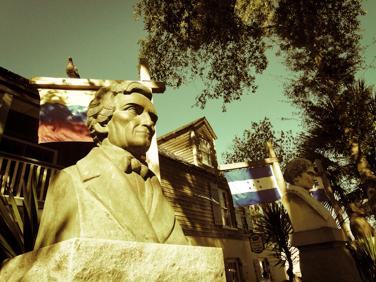 photo of a proud pigeon in Saint Augustine Florida