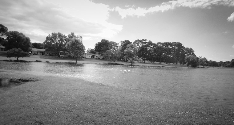 Photo of bird flying away from me.