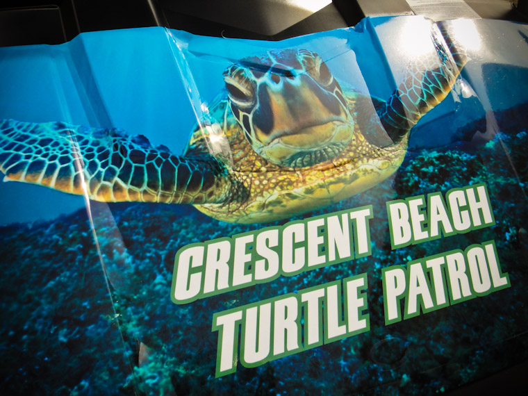 Photo of Crescent Beach Turtle Patrol 4-wheeler