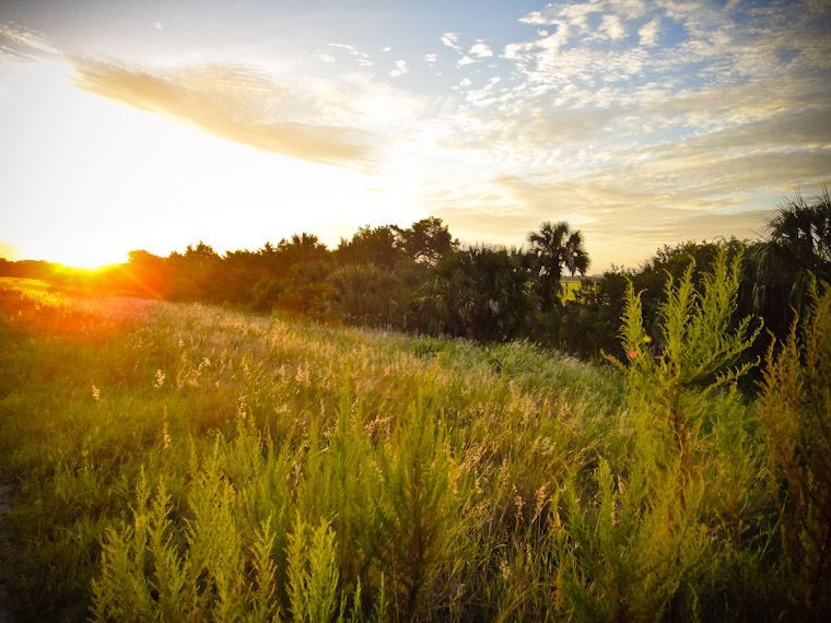 Guana sunrise run in saint augustine Florida