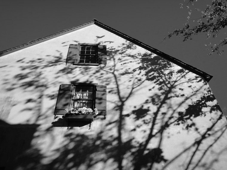 Hypolita shadows in saint Augustine Florida