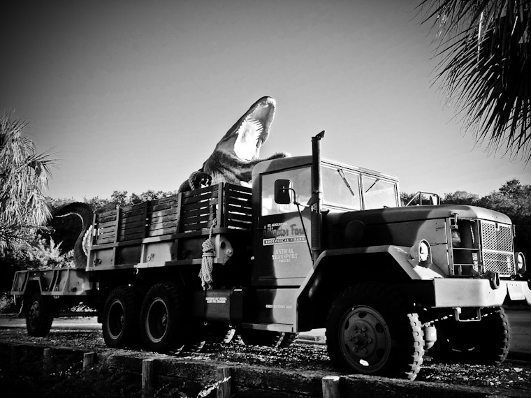 Alligator Farm Animal Transport Truck photo in Saint Augustine Florida