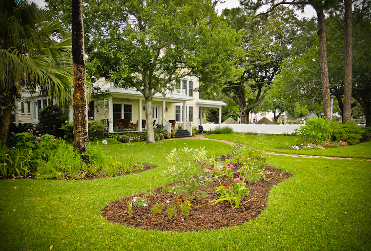 Marine Street Lawn Islands photo in Saint Augustine florida