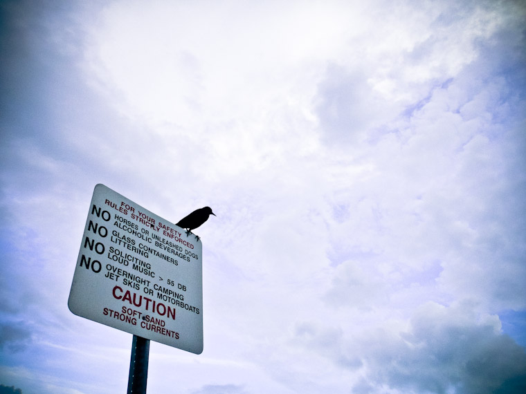 Beach Rules Sign