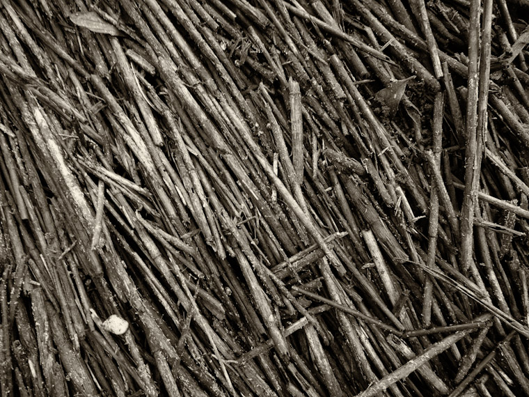 Reed Mat Photo