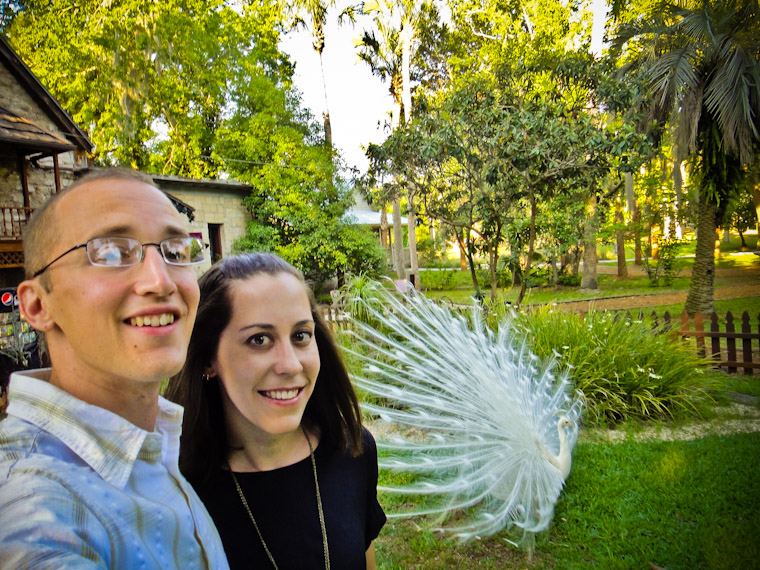 Wife and I with a feathered albino white peacock friend