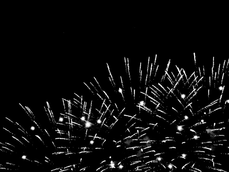 Fireworks black and white image