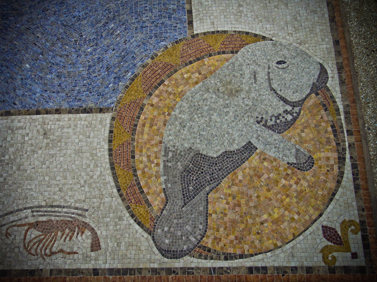 Mosaic of a manatee