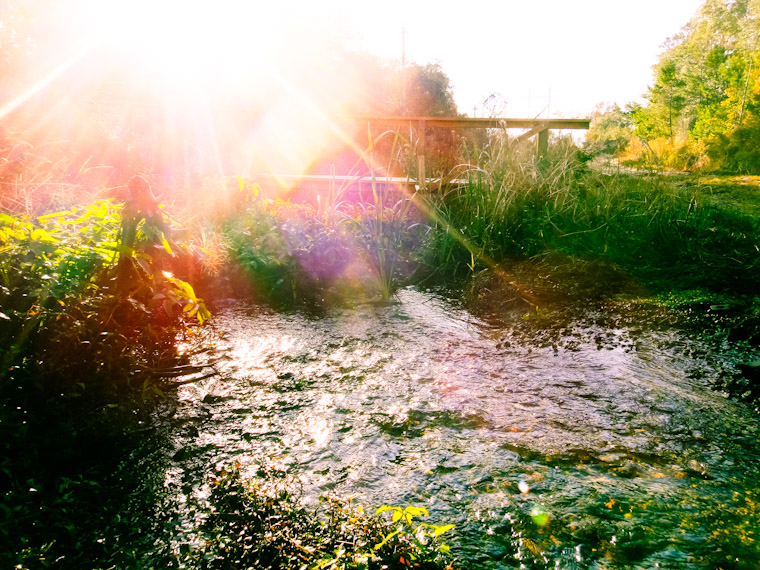 Picture of morning rays of sunshine at Moses Creek