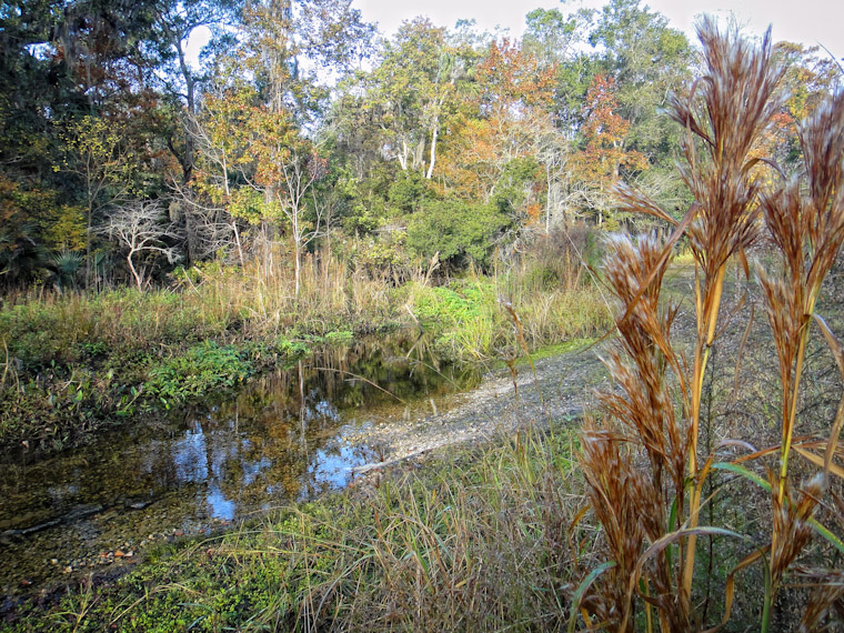 Foliage camouflage at Moses Creek