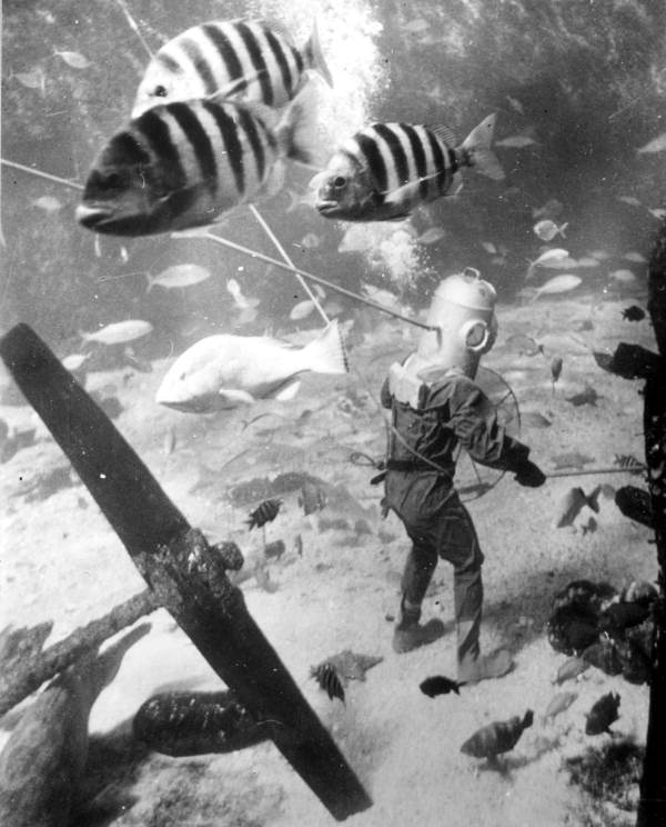 Marinland diver photo from 1946