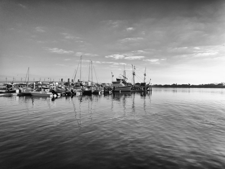 Picture of municipal marina dock and bridge of lions