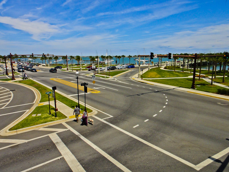 Dog walking bayfront king street & avenida menendez