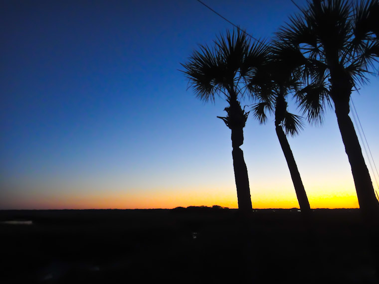 Sunset silhouette palms