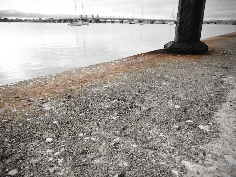 Bird Footprints in old seawall concrete by bridge of lions