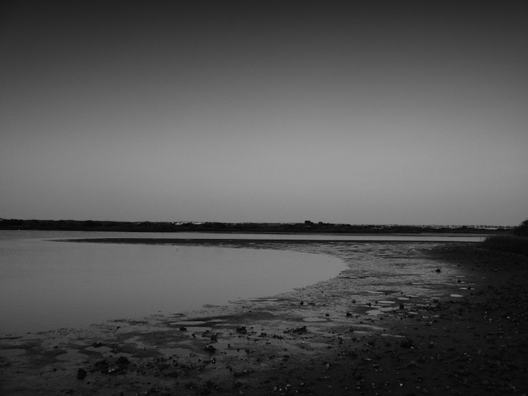 Picture of a still marsh in Anastasia State park