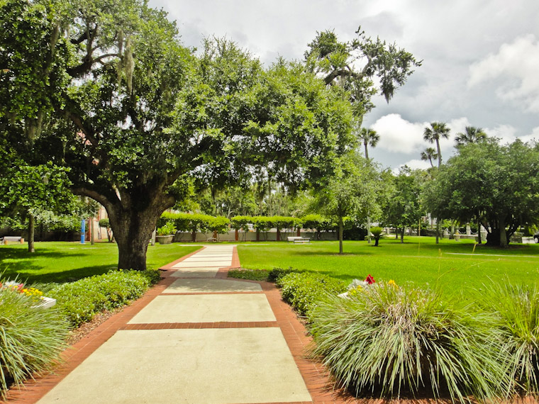 Flagler Tree missing trimmed branch
