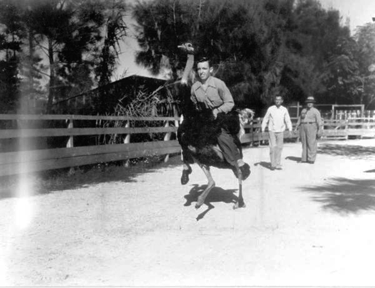 James Davis riding Ostrich Bronco bareback