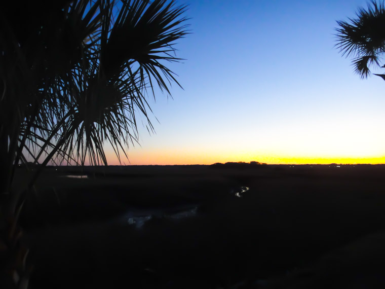 Crisp sunset with palm silhouettes