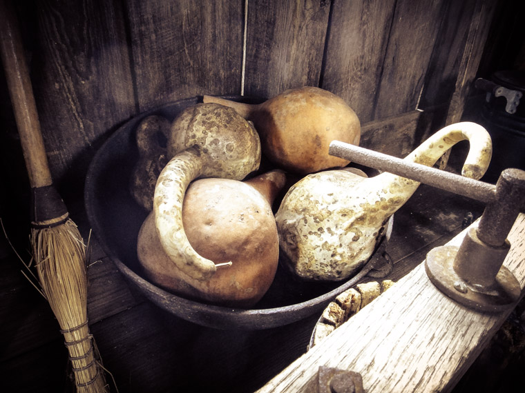 Picture of decorative gourd season