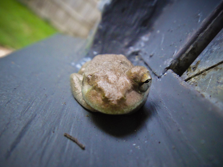 DSC08446_wp