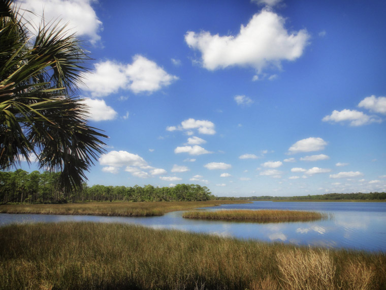 Princess Place creek marsh view