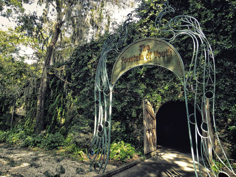 Picture of fountain of youth peacock gate entrance