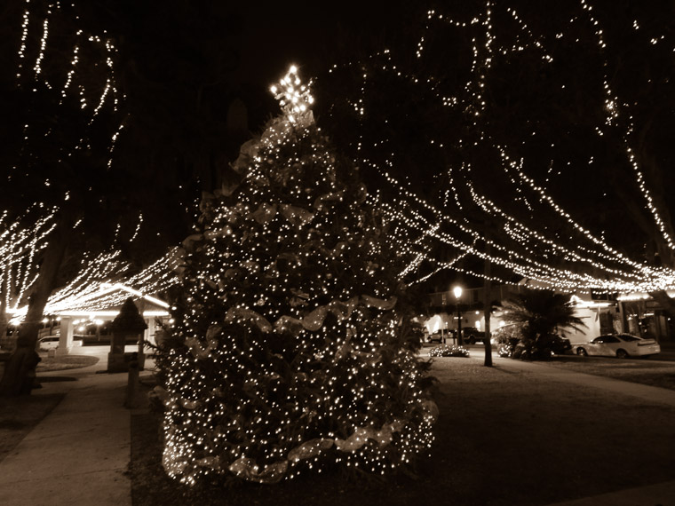 downtown christmas tree in plaza