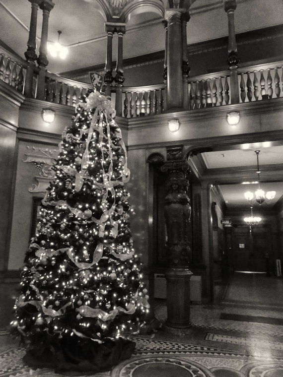 Flagler College Christmas Tree