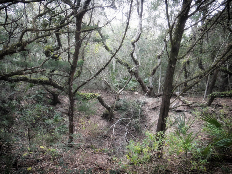 Sinkhole at Anastasia State Park