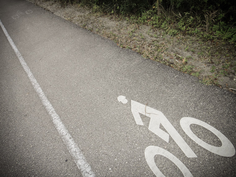 Bike Lane Symbol in Anastasia State Park