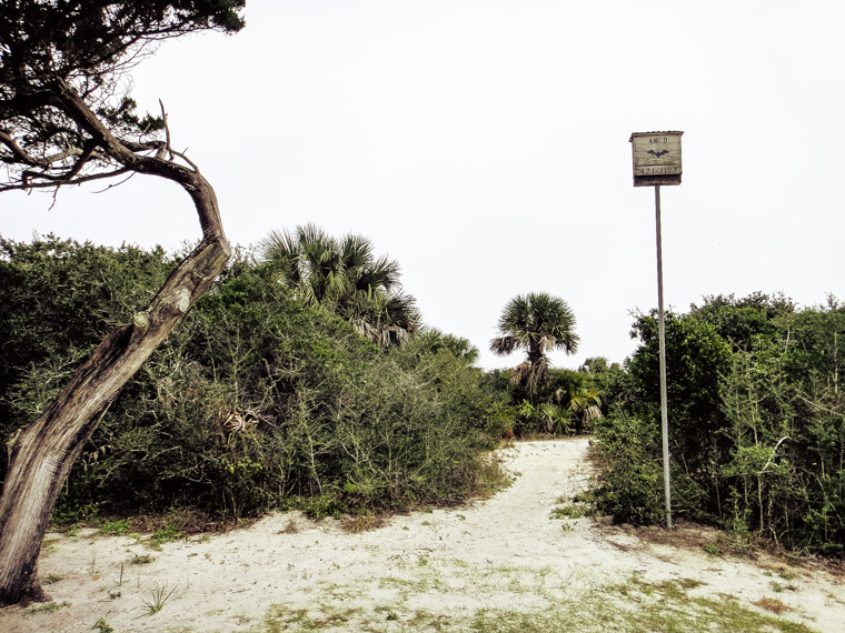 AMCD Bat House in Anastasia Island State Park