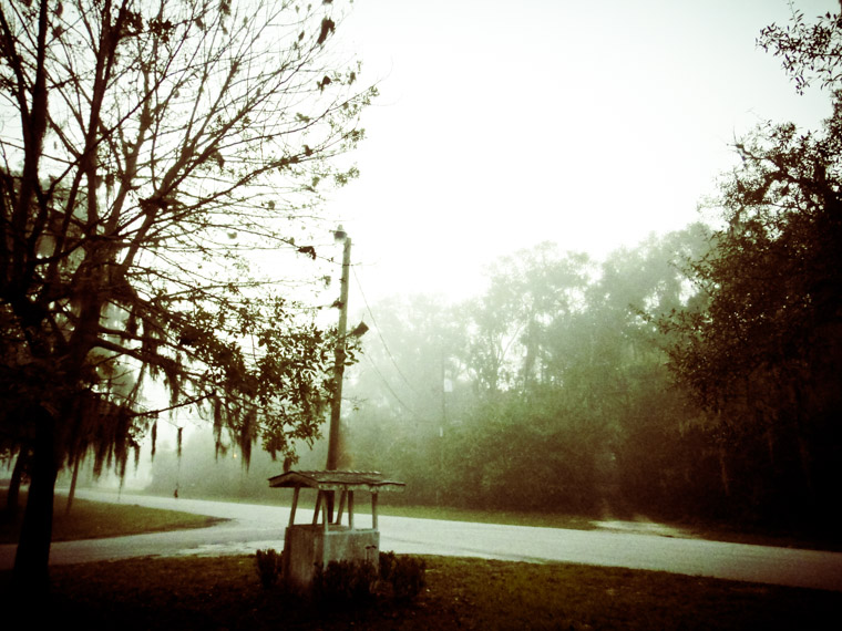 Foggy Street Morning Scene