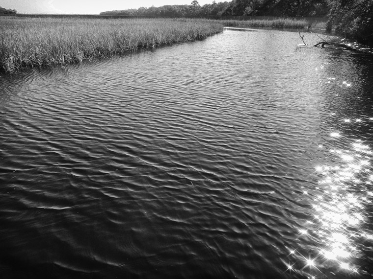 Ripples at Moses Creek Dock by Marsh