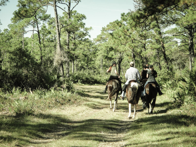Horse riding in Moses Creek State Park