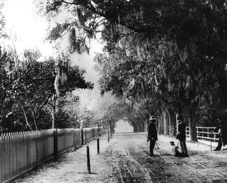 Historic Picture of King Street fishermen and dog in 1880