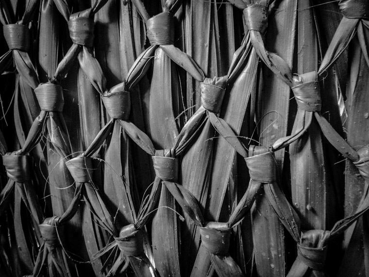 Roof Reeds at Fountain of Youth Mission of Nombre de Dios