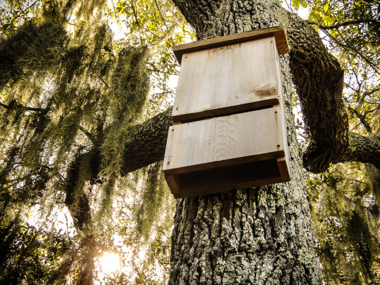 Picture of Moses Creek Bat House 