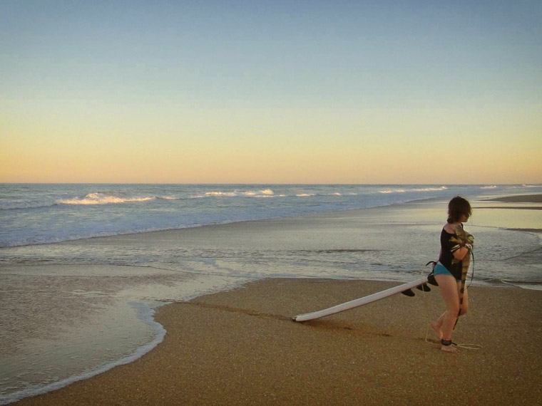 Surfing with an Iguana lizard on the beach